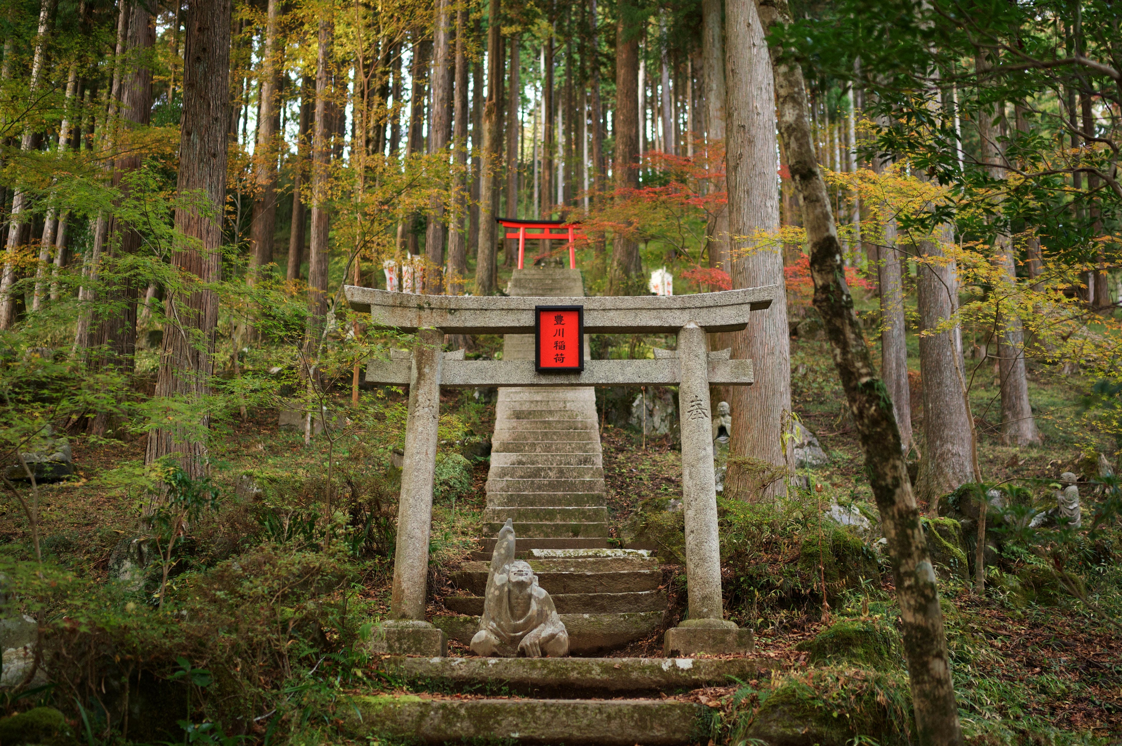 Stone torii gate and fox statue on forest shrine steps in Japan with autumn foliage