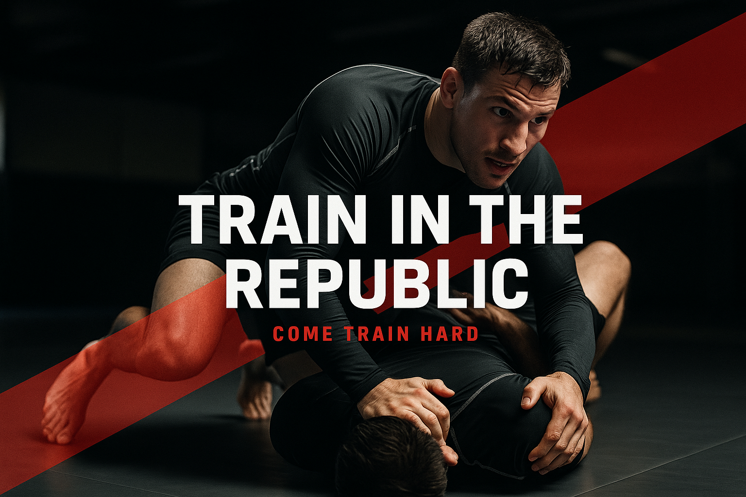 Train in the Republic